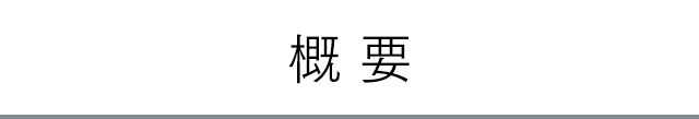 概要
