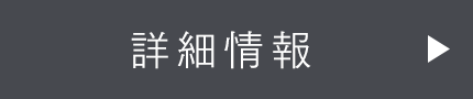 詳細情報